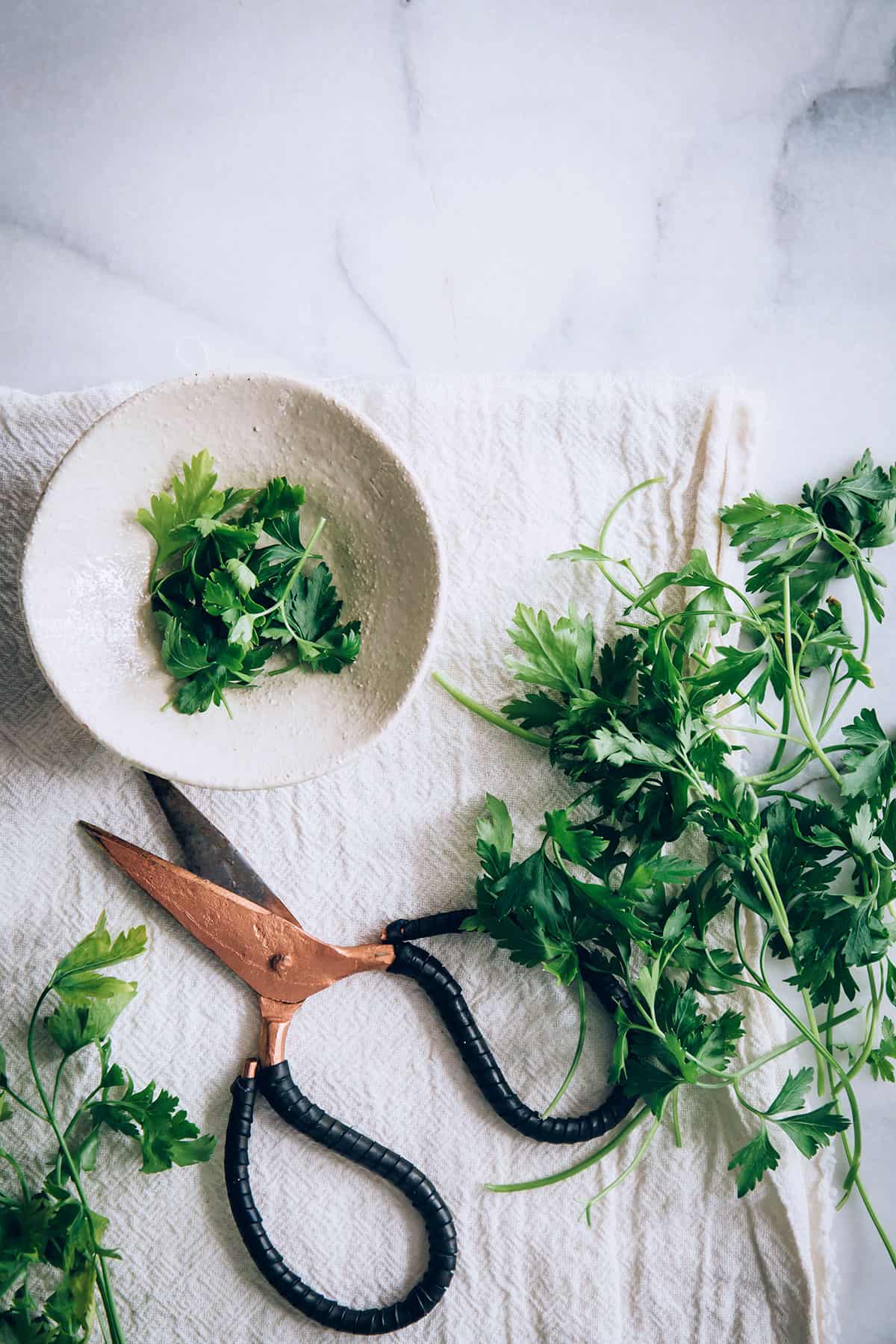 How to use cilantro