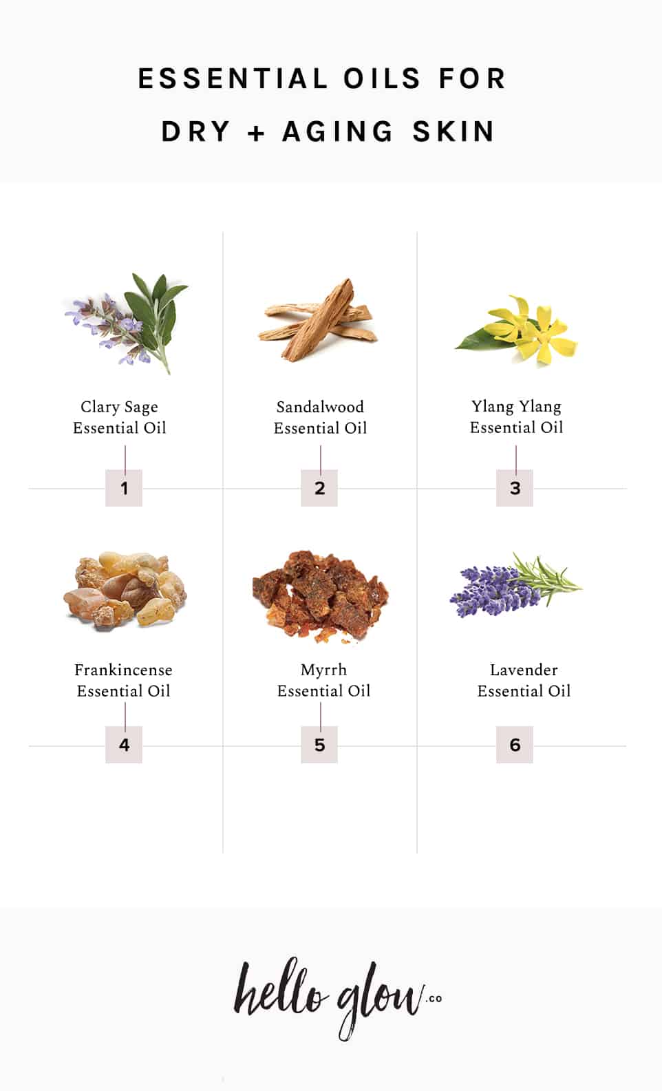 Essential Oils For Skin Type Printable — Woman With Mind