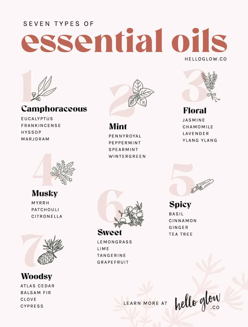 7 Types of Essential Oil Scents