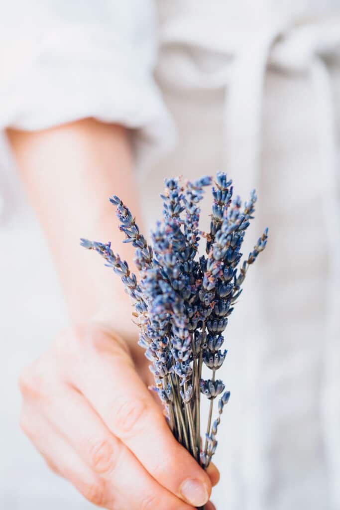 DID YOU KNOW: Lavender + Vanilla blend together to inspire tranquility +  calm the mind? Leave a 💜 if you're having a blissed out self-care Sunday  😴 *PRO