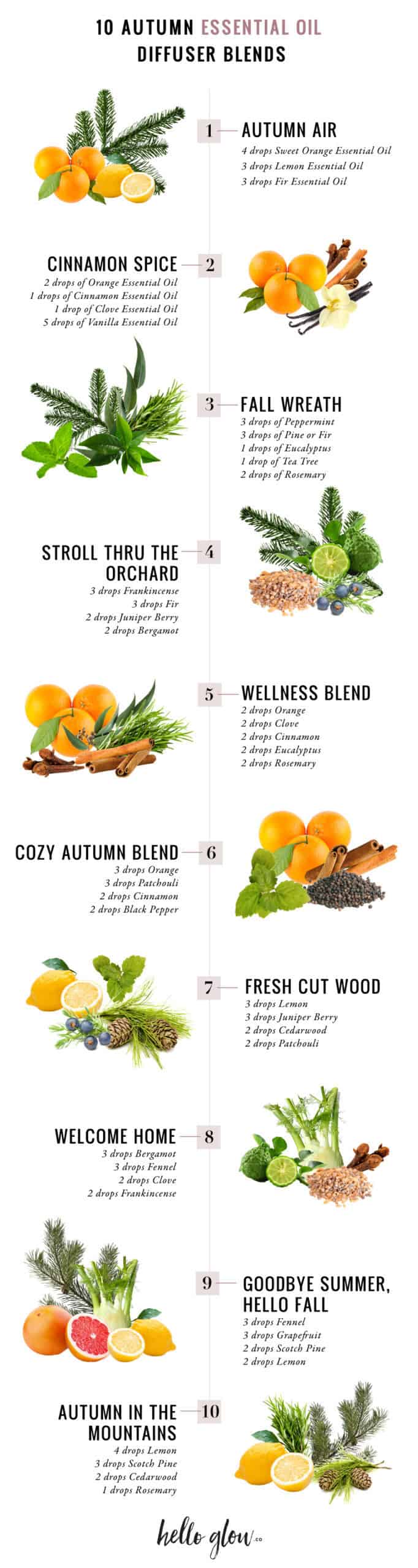 Ikke vigtigt del Er velkendte 11 Fall Essential Oil Blends To Make Your House Smell Amazing | Hello Glow