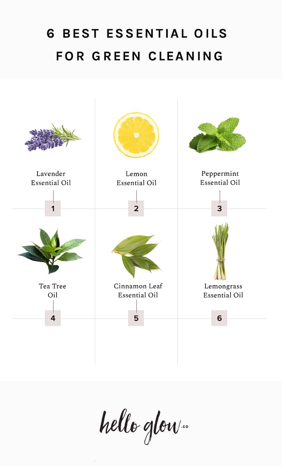 Our 6 Favorite Essential Oils for Green Cleaning