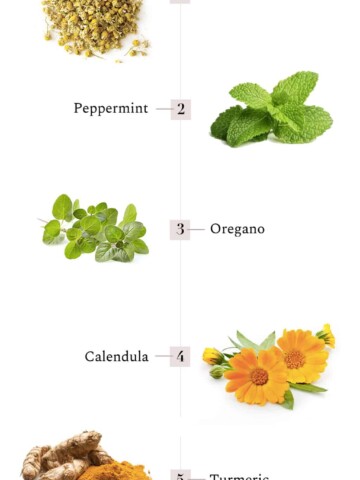 5 Healing Herbs