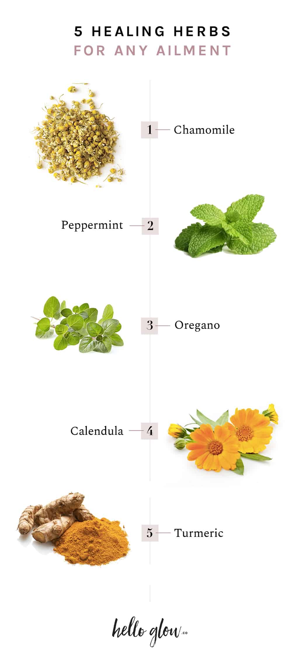 5 Healing Herbs for Any Ailment