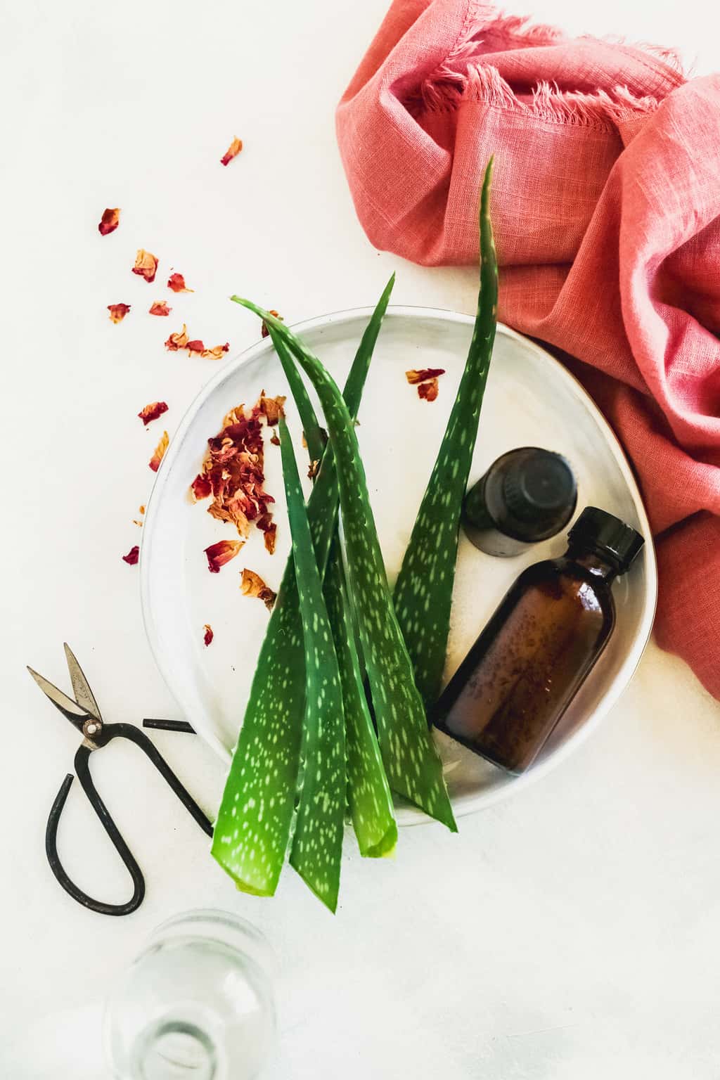 Ingredients for aloe vera face wash recipe