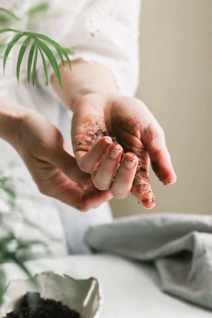 DIY Scrub with walnut powder