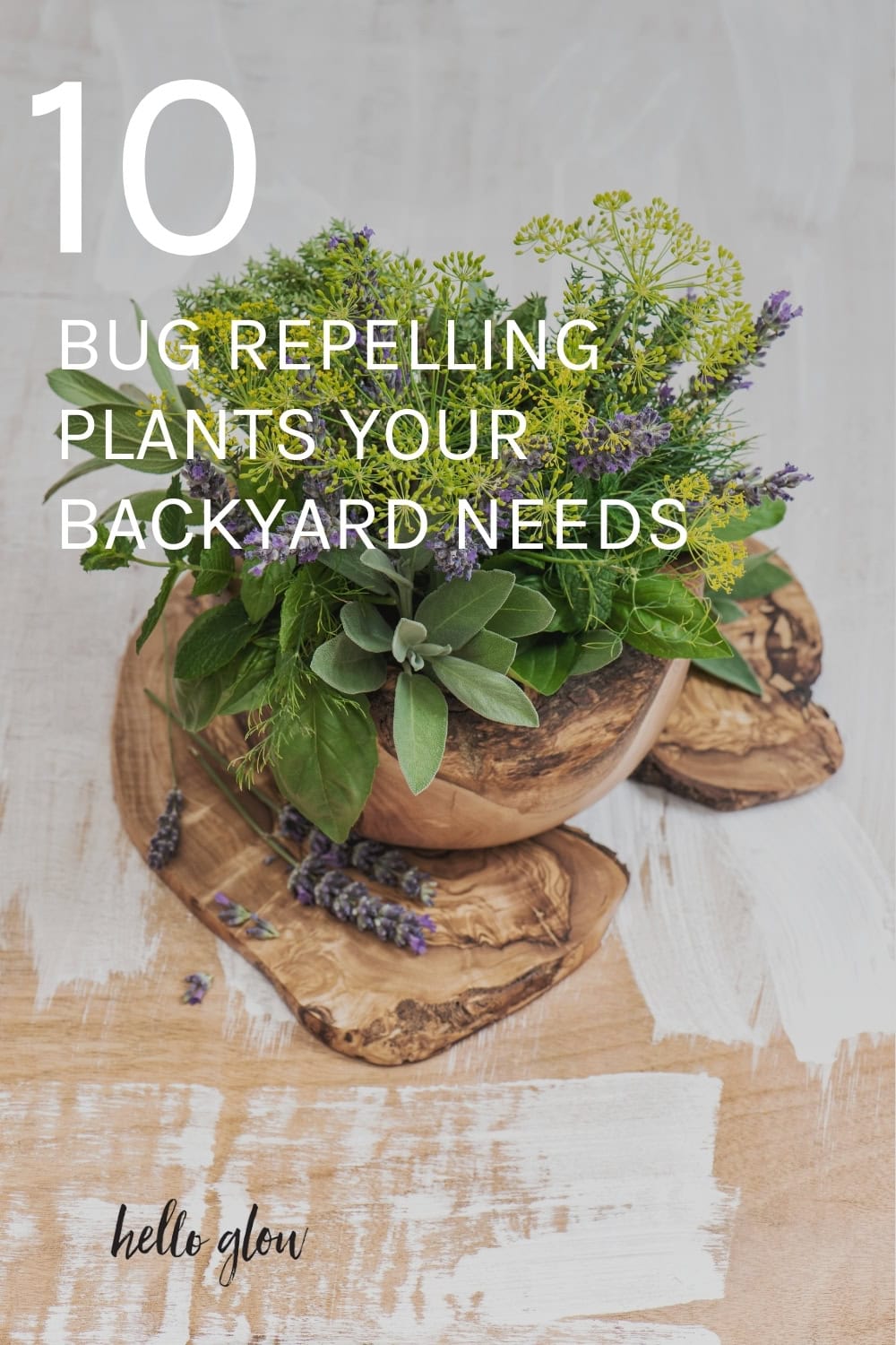 10 Bug Repelling Crops Your Yard Wants