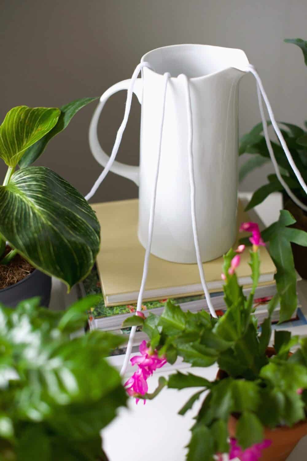 How to make a self-watering planter from any pot