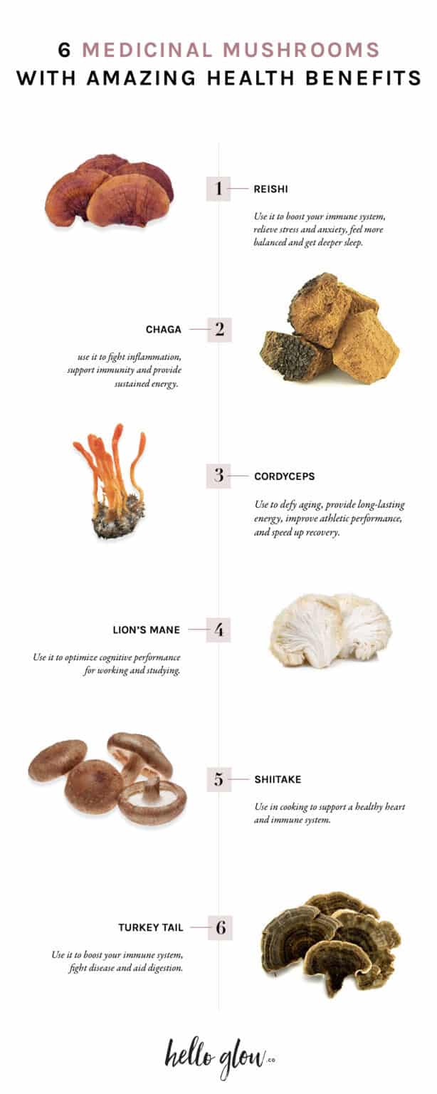 A Holistic Nutritionist Explains 6 Adaptogenic Mushrooms Their Amazing Health Benefits 1718