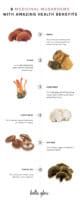 A Holistic Nutritionist Explains: 6 Adaptogenic Mushrooms + Their ...