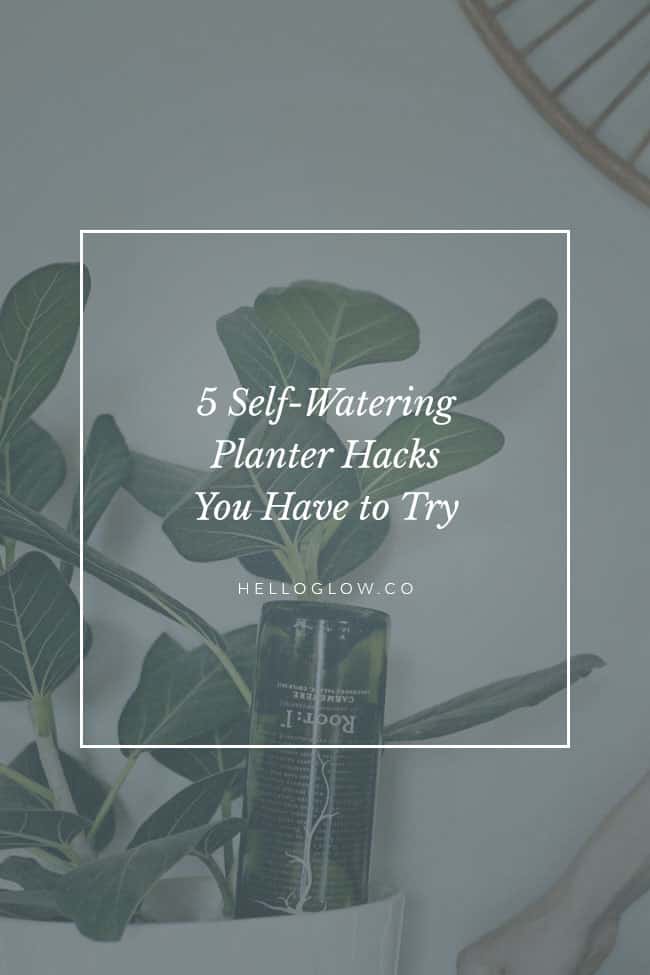 21+ Diy Self Watering Planter