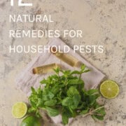 12 Natural Remedies for Household Pests