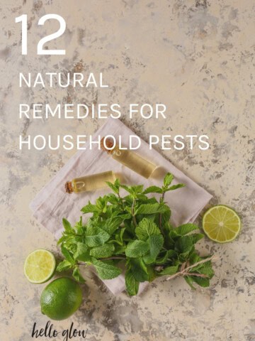 12 Natural Remedies for Household Pests