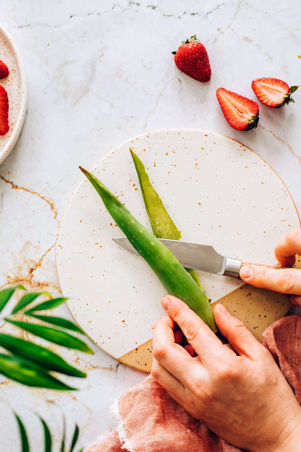 How to harvest fresh aloe gel