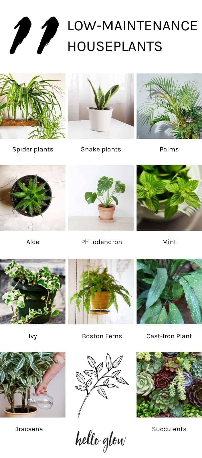 11 low-maintenance house plants - Hello Glow
