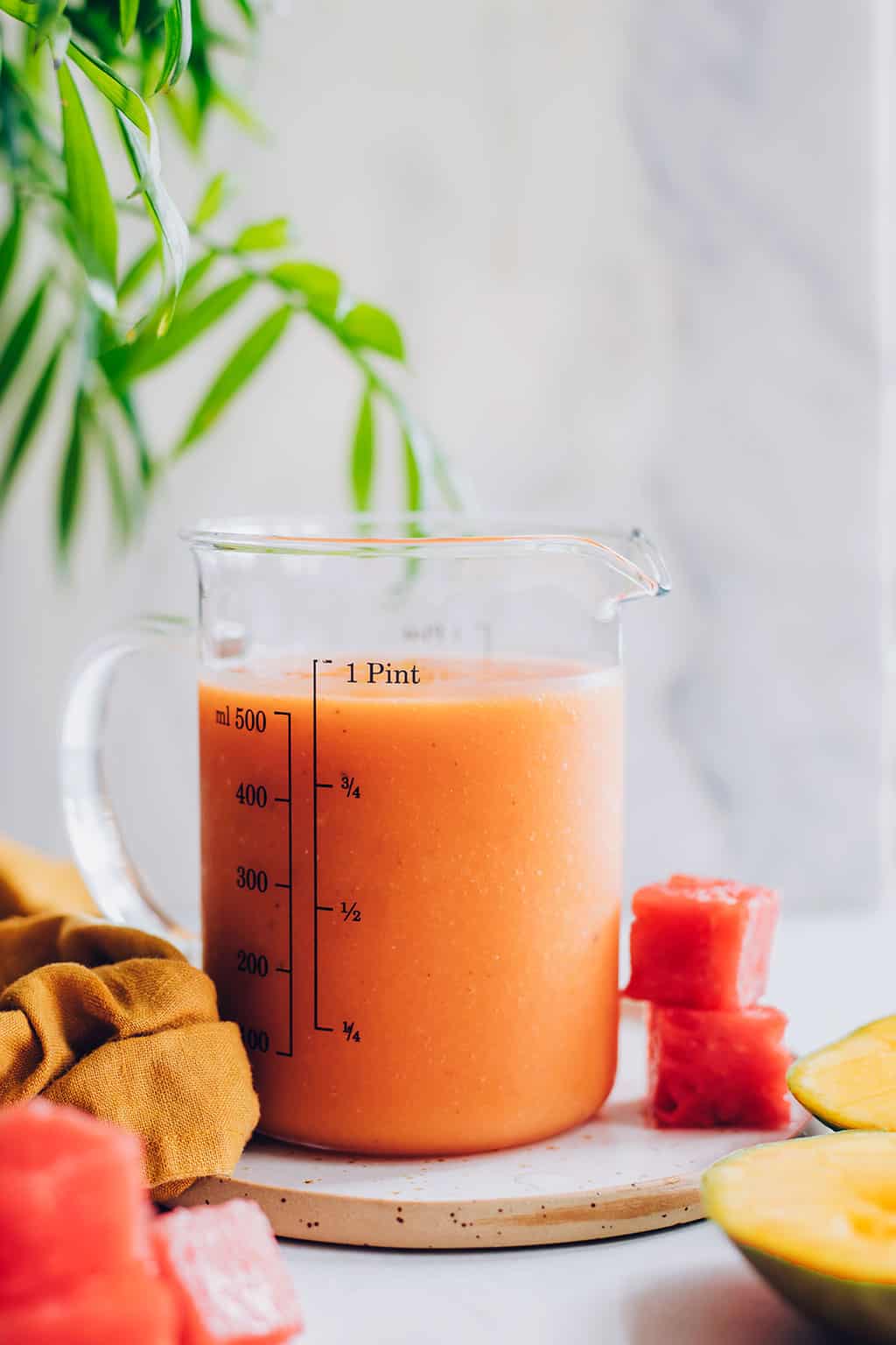 Tropical Hydrating Watermelon Smoothie
