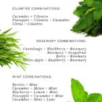 The Best Herbs for Infused Water - Hello Glow