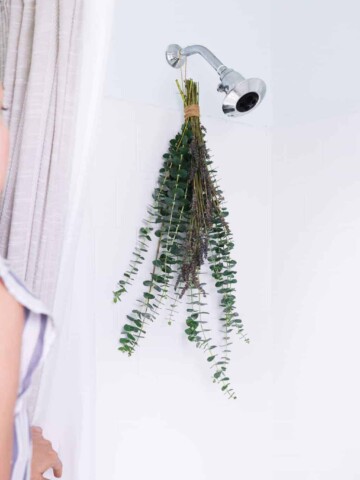 How to hang a fresh eucalyptus flower bundle