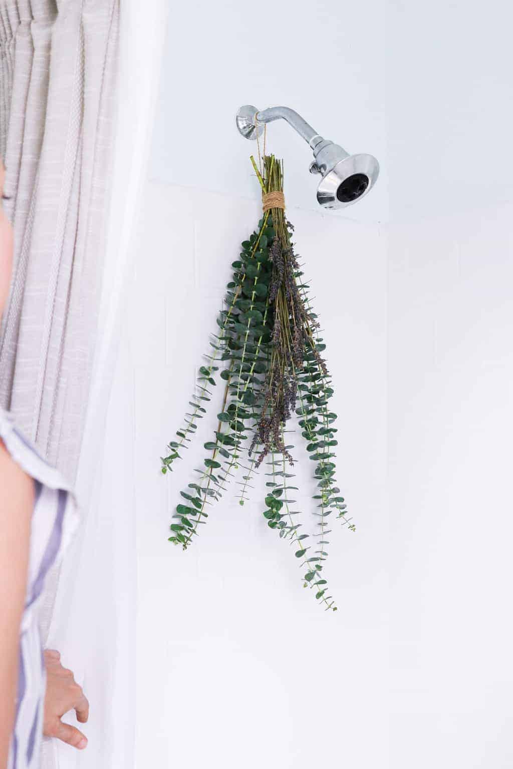How to hang a fresh eucalyptus flower bundle