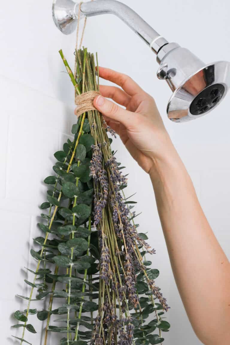 how to tie eucalyptus to shower head