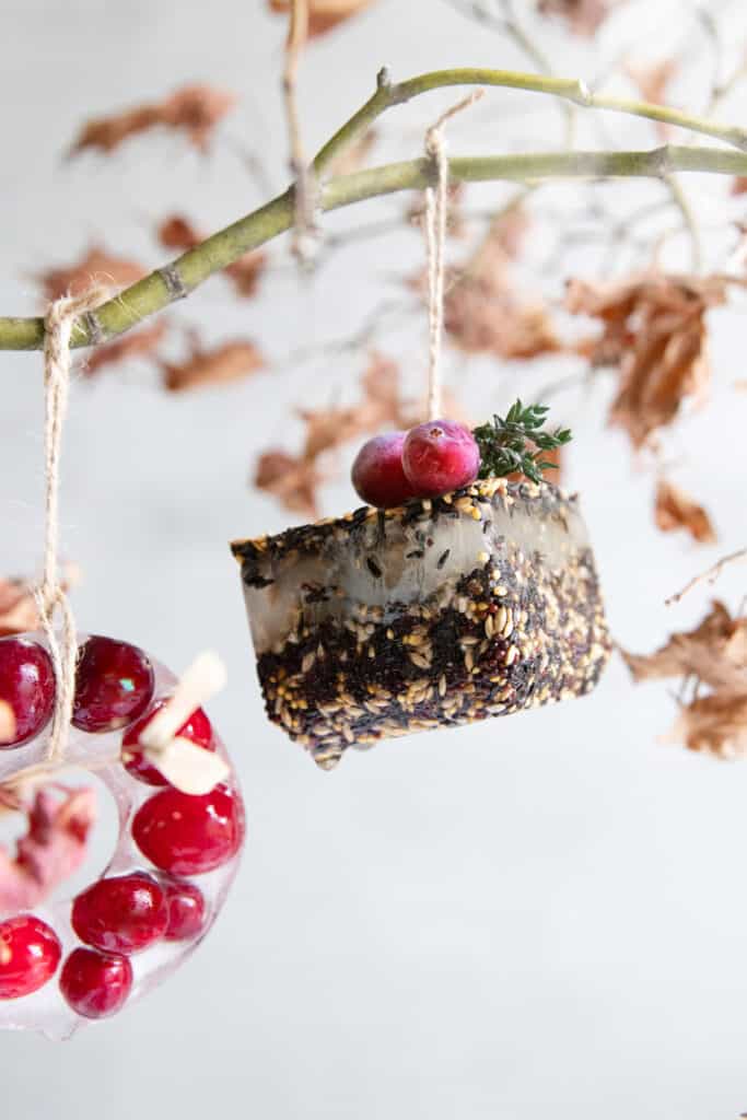 These are not just plain ice ornaments: they have bird seeds inside! Plus they take no time to make and look pretty glistening in the sun.