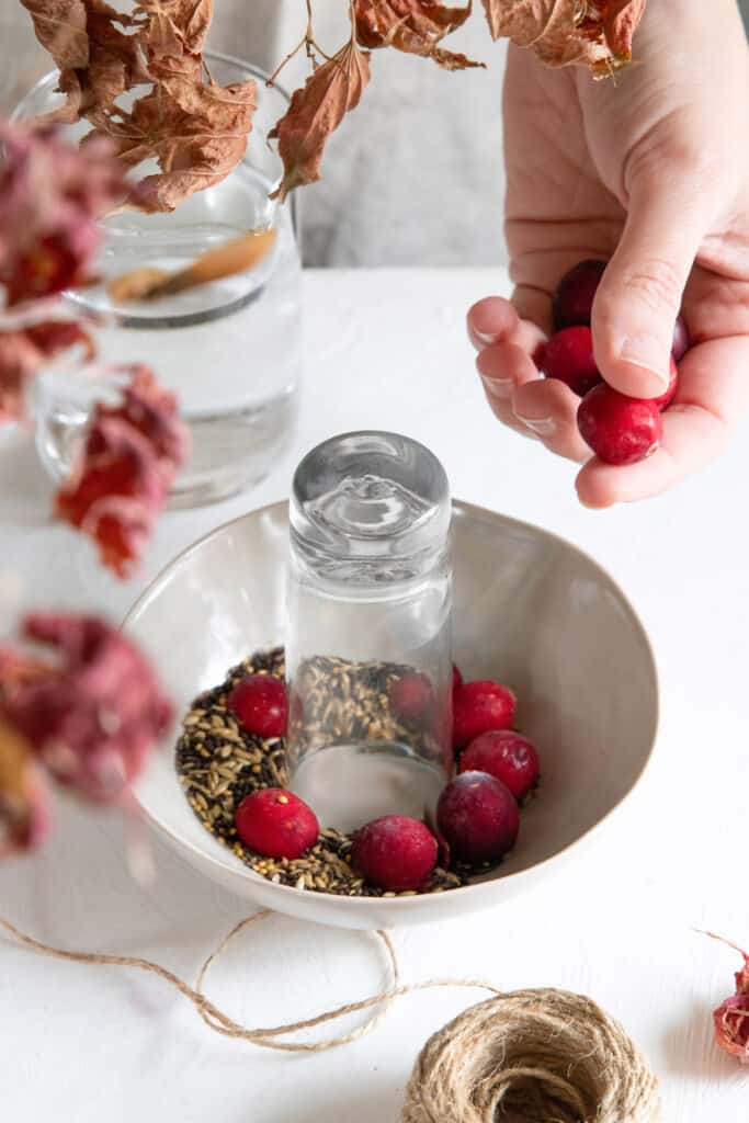 These are not just plain ice ornaments: they have bird seeds inside! Plus they take no time to make and look pretty glistening in the sun.