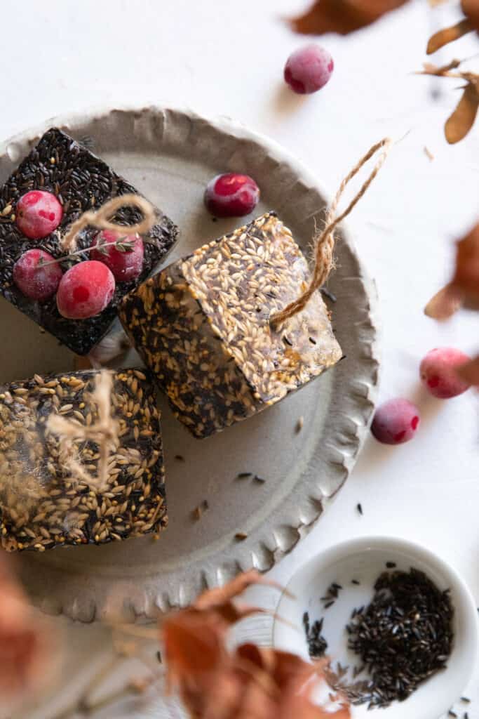 These are not just plain ice ornaments: they have bird seeds inside! Plus they take no time to make and look pretty glistening in the sun.