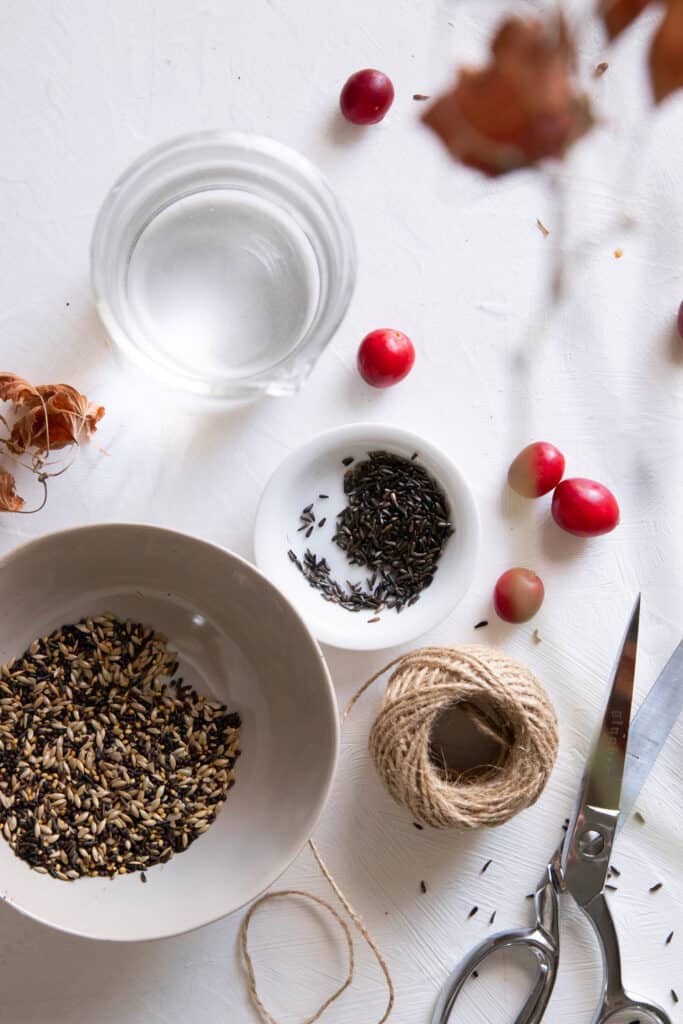 DIY Birdseed Ice Ornaments