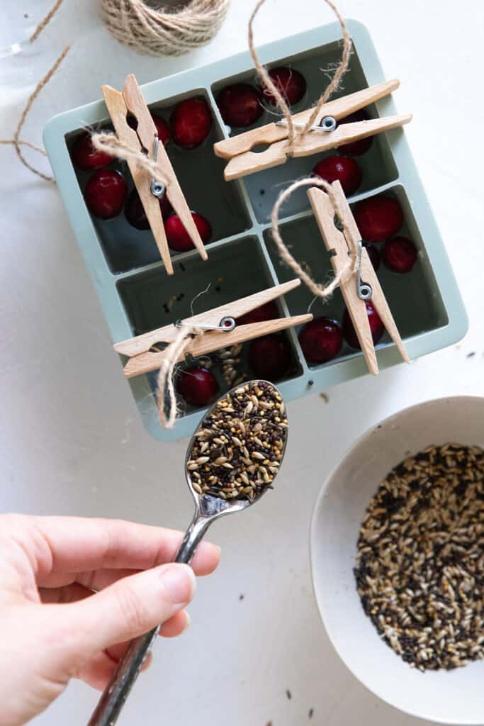 These are not just plain ice ornaments: they have bird seeds inside! Plus they take no time to make and look pretty glistening in the sun.