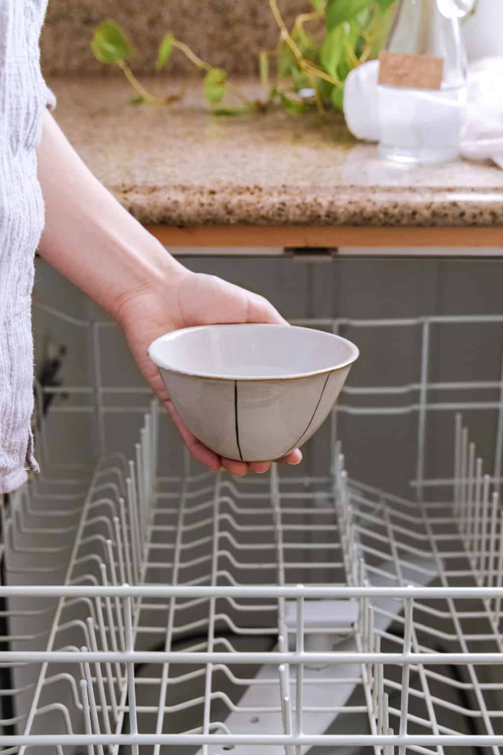 How to do a disinfecting wash to clean your dishwasher