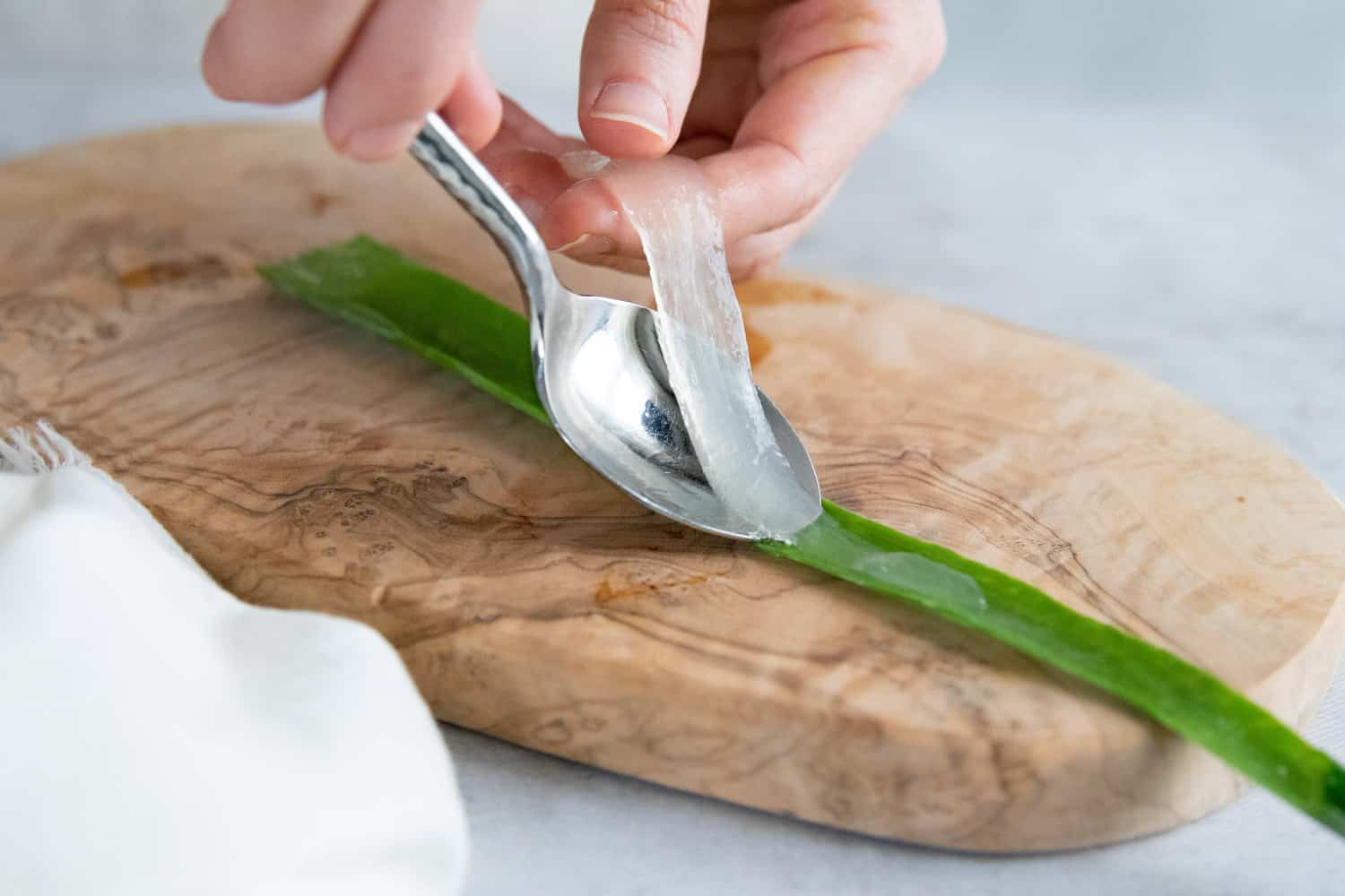 How to harvest fresh aloe gel