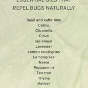 Bug repelling essential oils