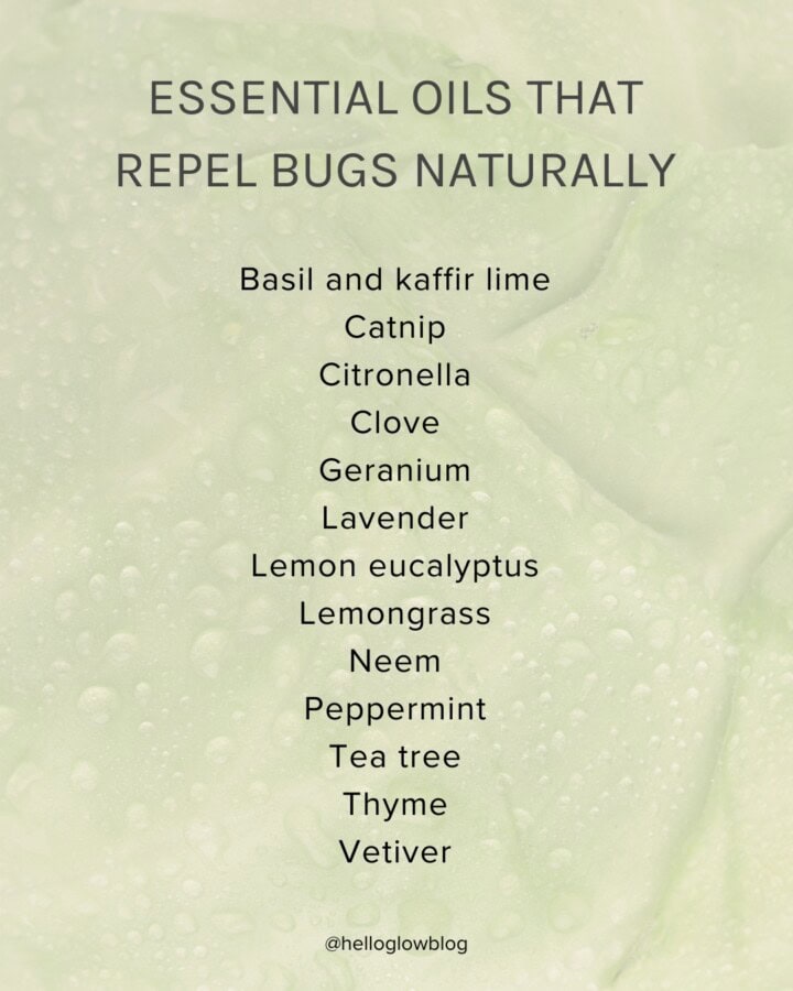 Bug repelling essential oils