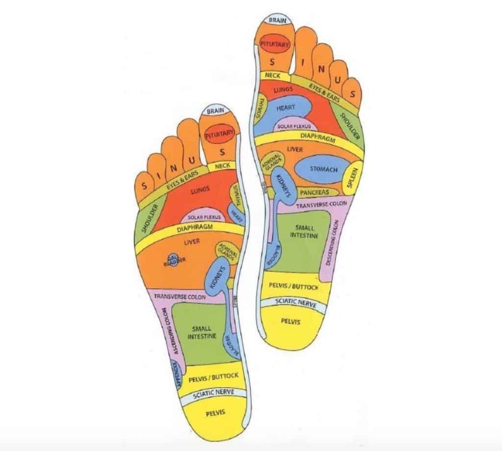 Foot Reflexology Chart