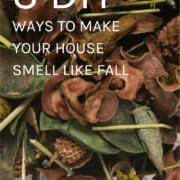 3 easy DIY ideas to make your home smell like fall