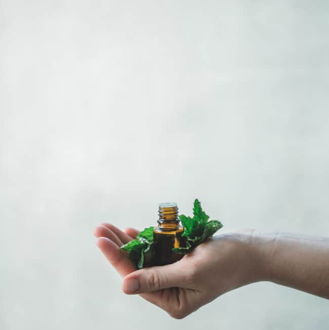 Peppermint Essential Oil Benefits & Uses
