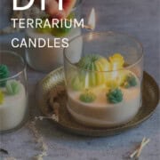 DIY Terrarium Candles