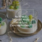terrarium candles