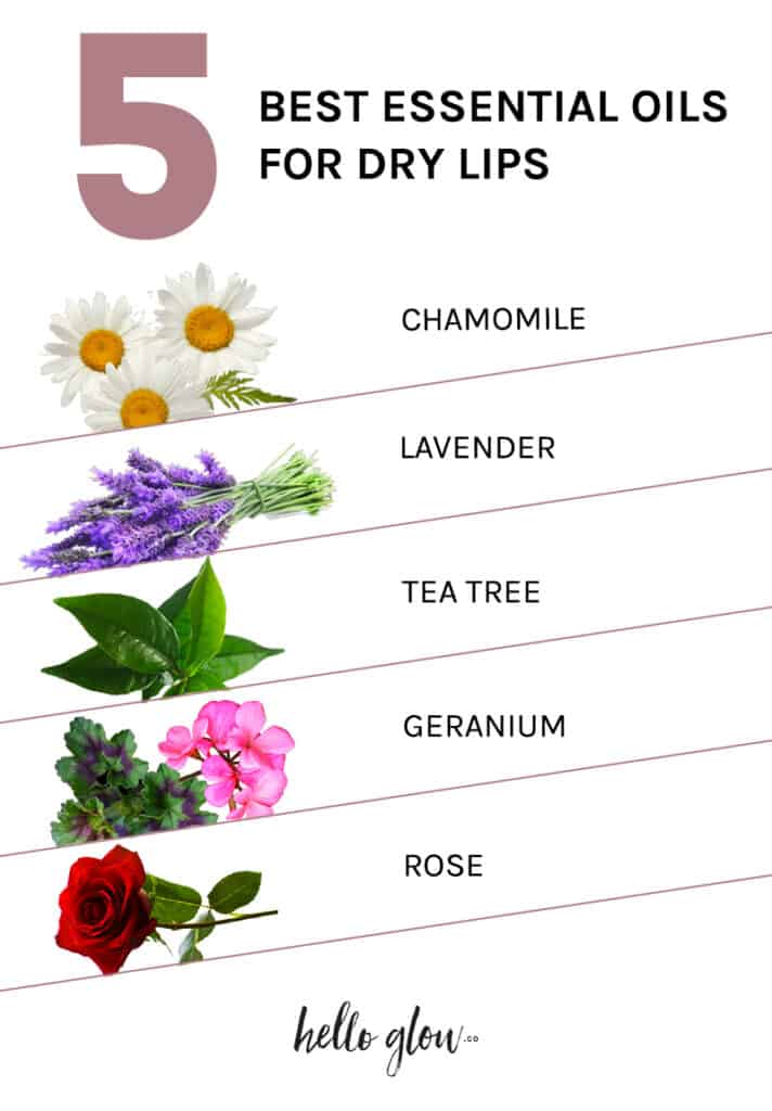 The best essential oils for dry lips _ Hello Glow