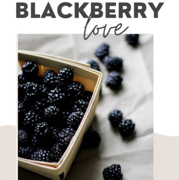 Blackberry Benefits for Skin + 10 Recipes