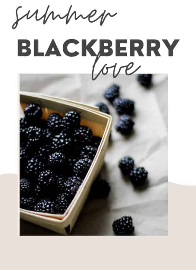 Blackberry Benefits for Skin + 10 Recipes