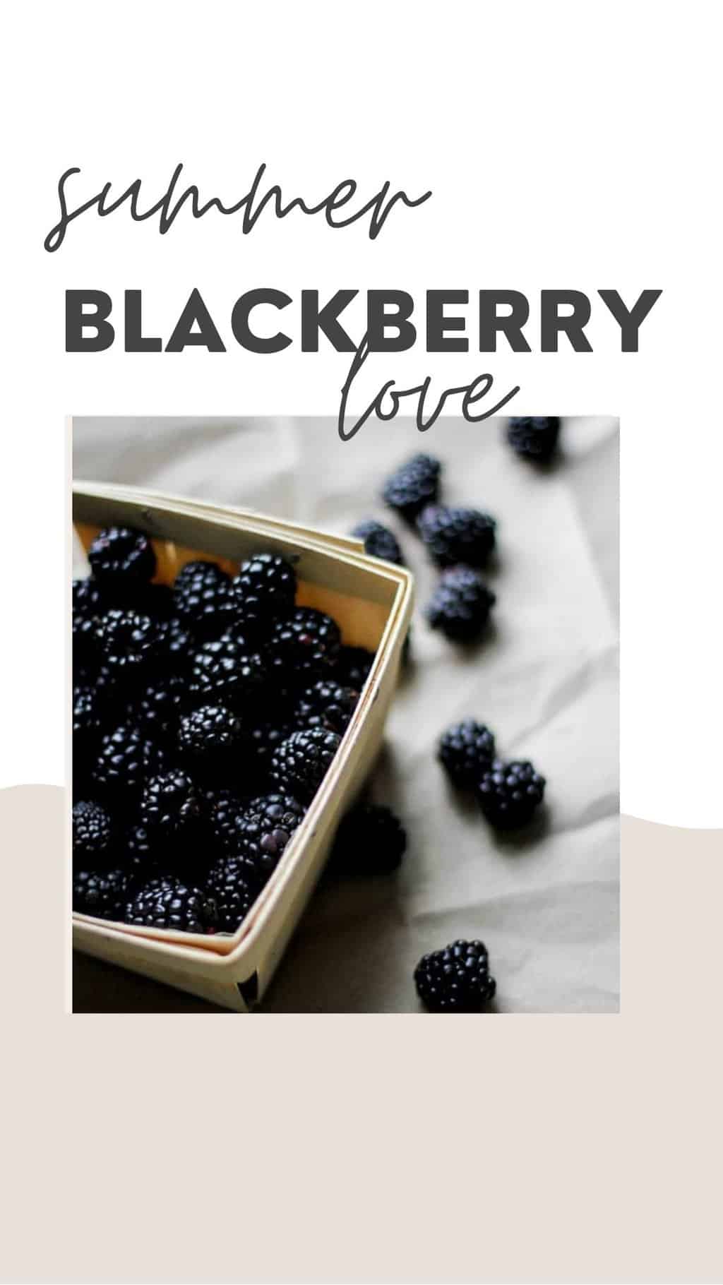 Blackberry Benefits for Skin + 10 Recipes