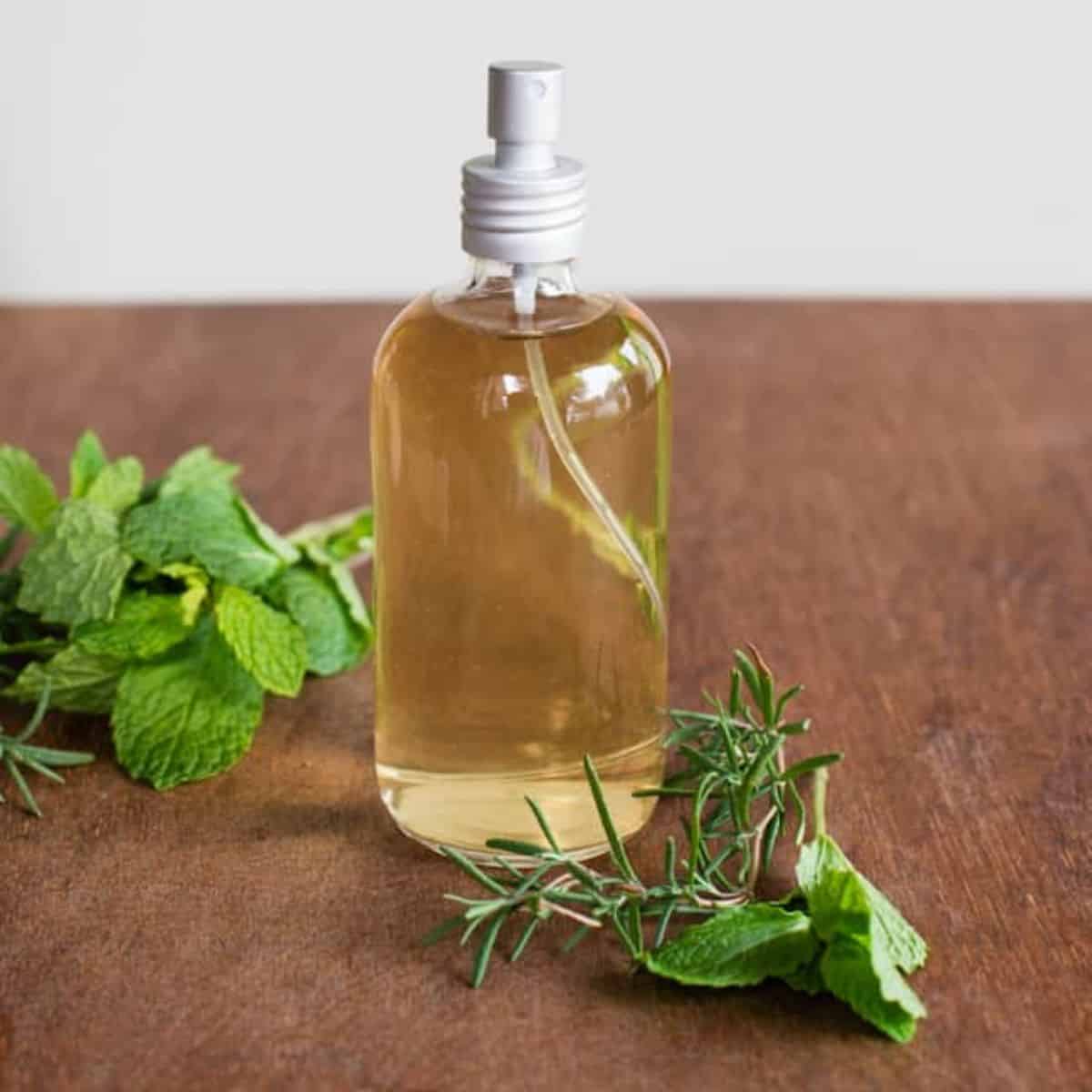 How To Choose the Right Essential Oils For Your Hair – Heliotrope