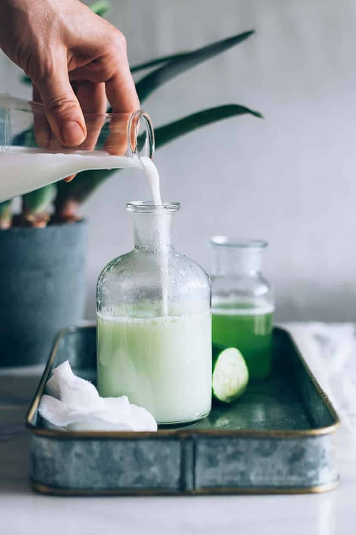 coconut milk lotion with cucumber
