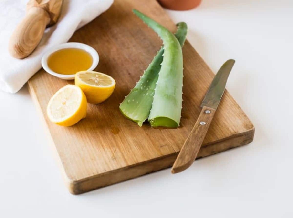 Aloe Face Pack Recipe