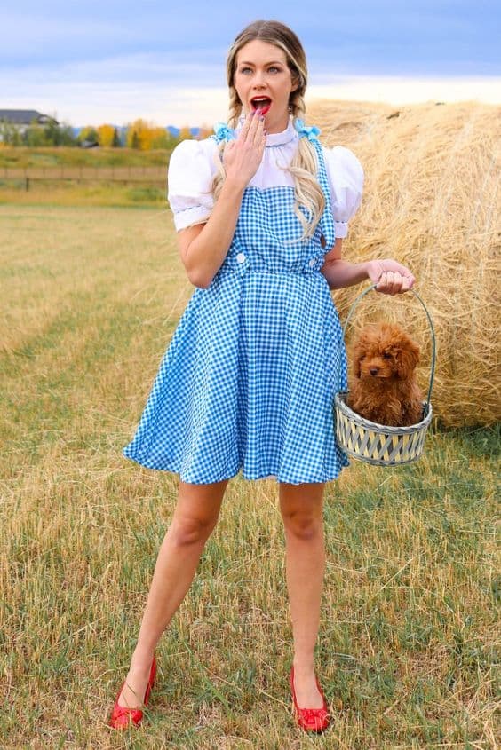 Dorothy costume