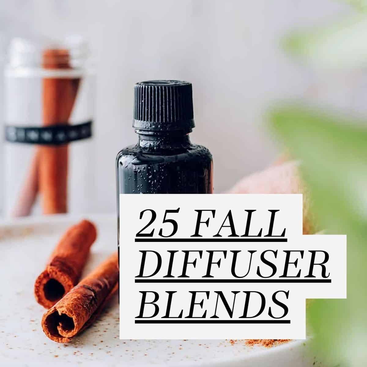 25 Fall Diffuser Blends