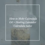 How to Make Calendula Oil + a Healing Lavender Calendula Salve