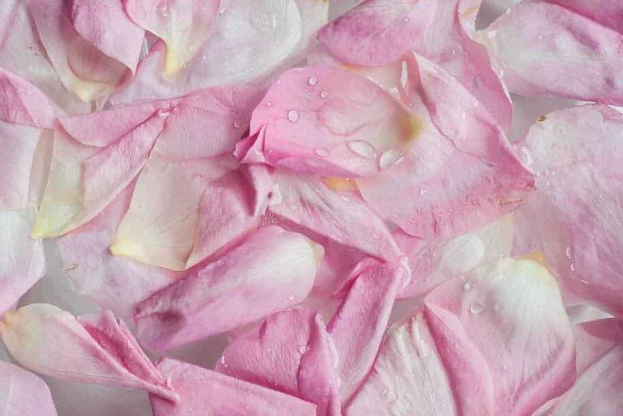 rose petals in bath