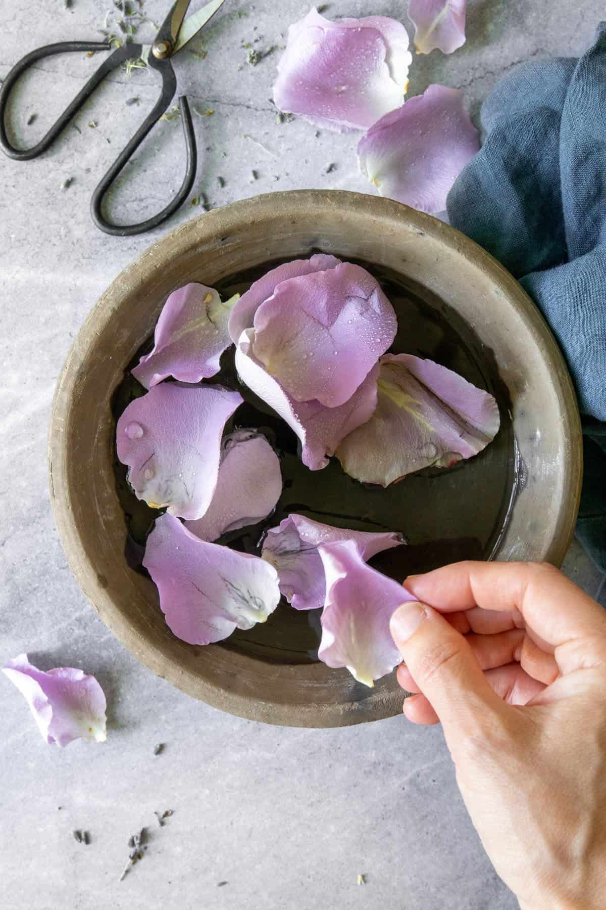 Rinse + Dry Fresh Rose Petals for diy rose perfume